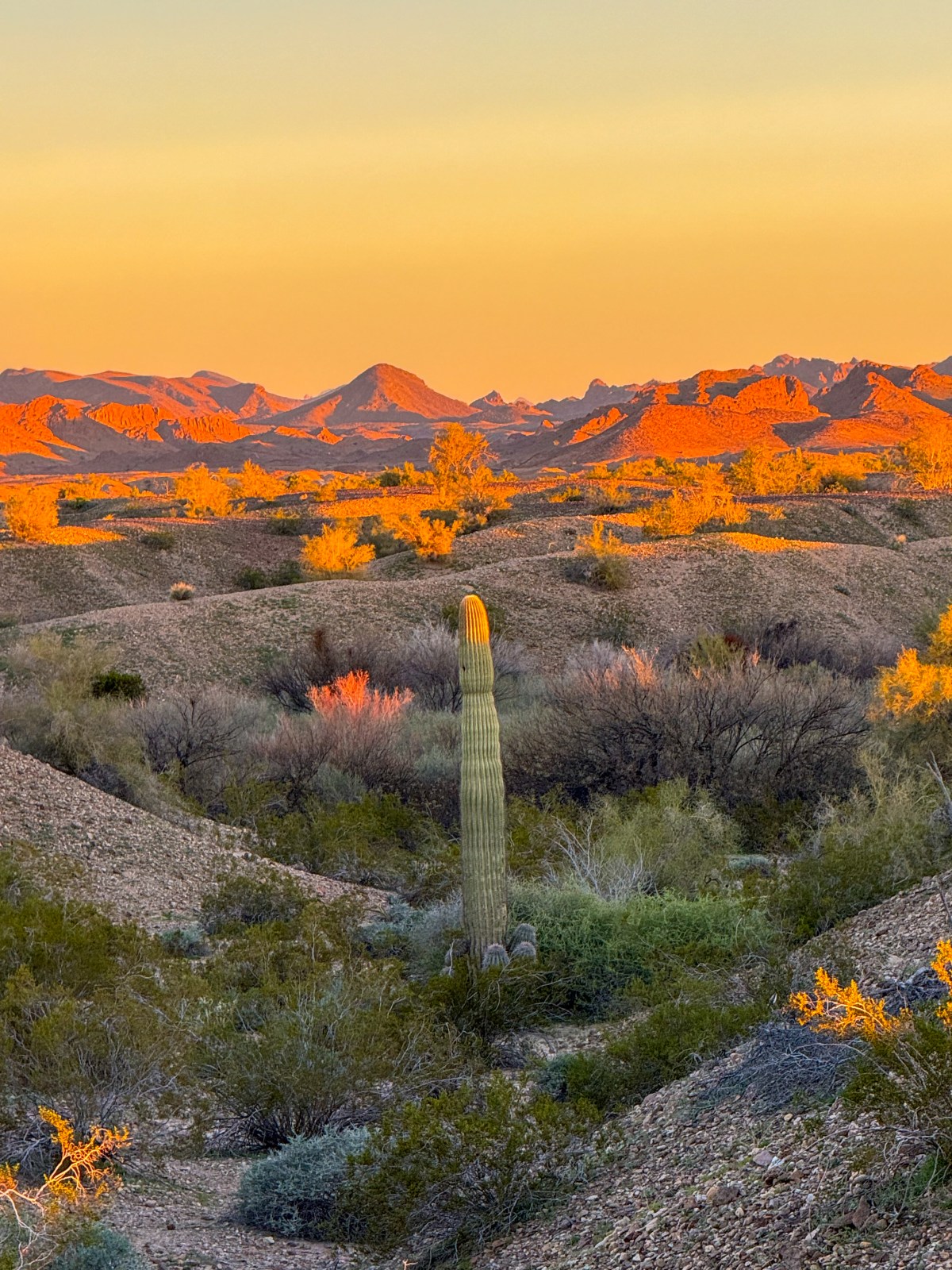 View near the start of Red Cloud Mine Rd