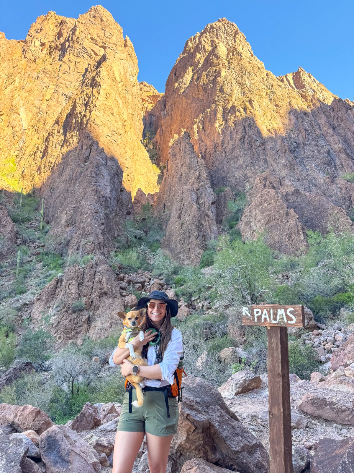 Palm Canyon Viewpoint at Kofa National Wildlife Refuge