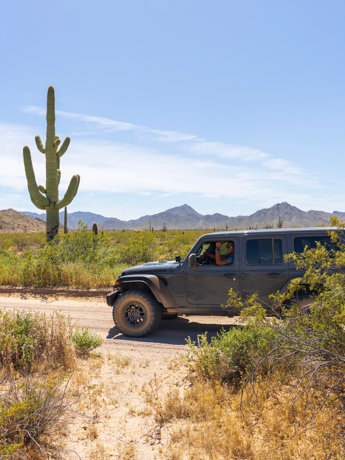 Cabeza Prieta National Wildlife Refuge - El Camino del Diablo