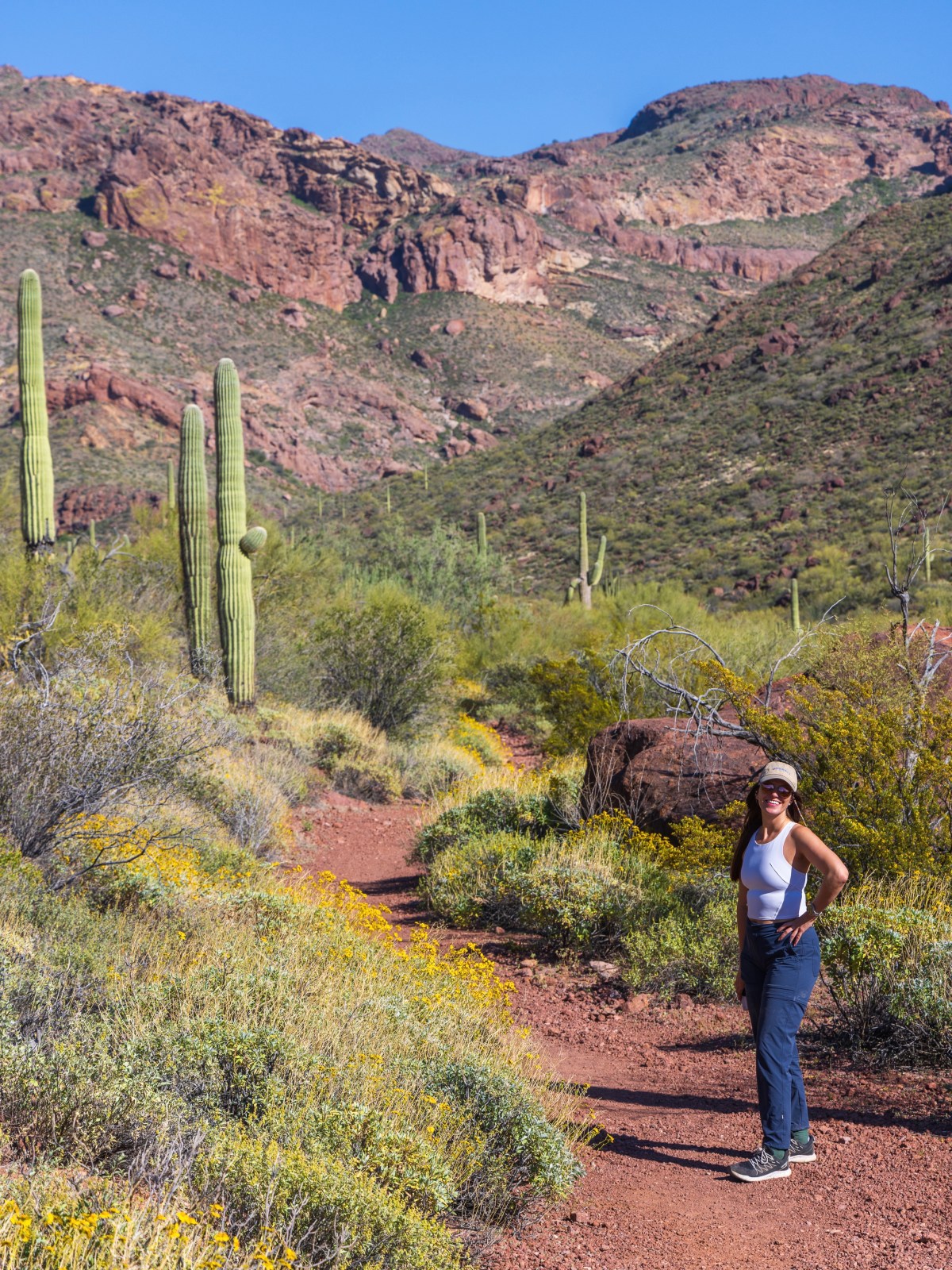 Organ Pipe Cactus National Monument, Ajo, Arizona - Alamo Canyon Trail