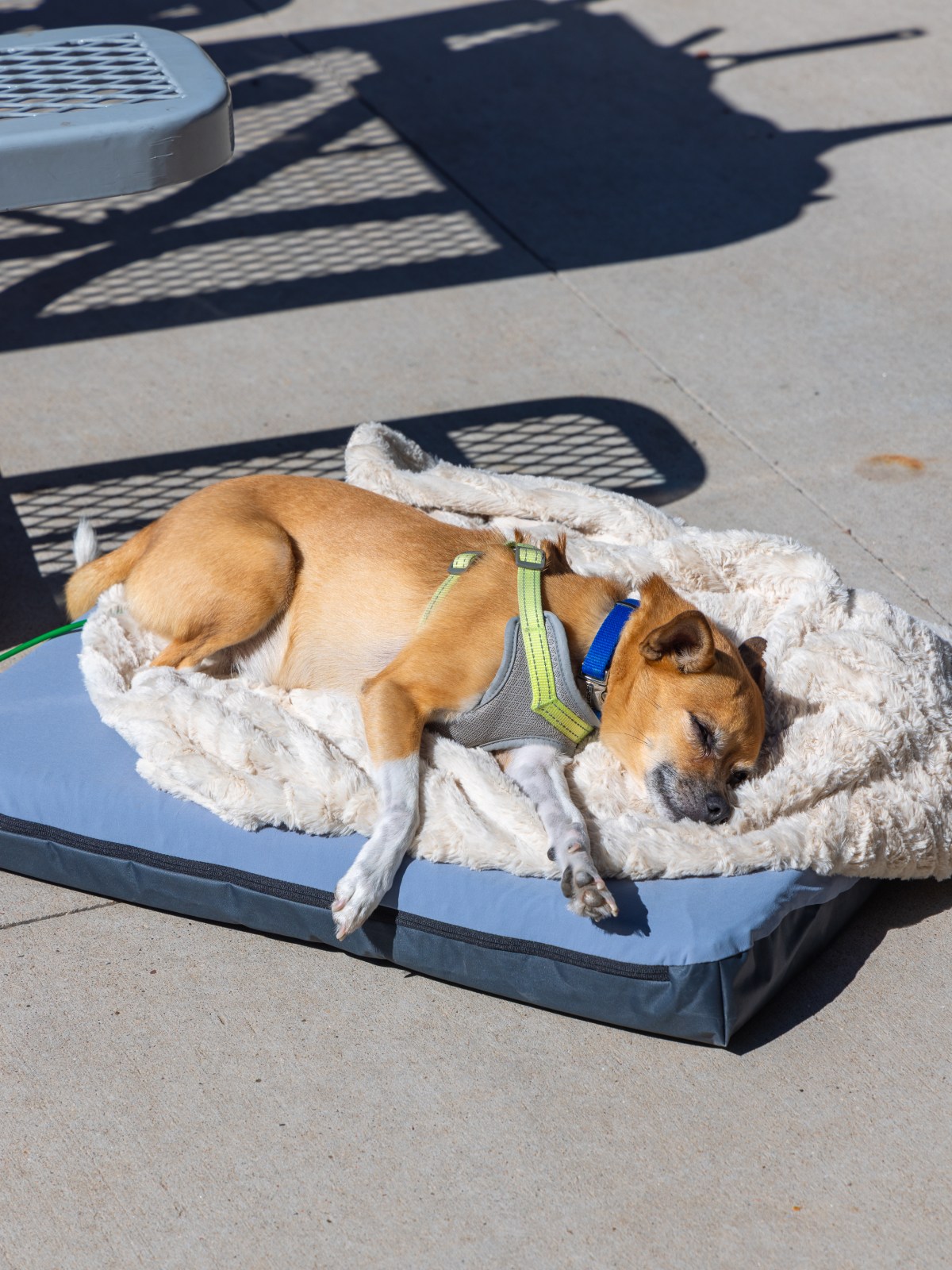 Camping at Fool Hollow Lake