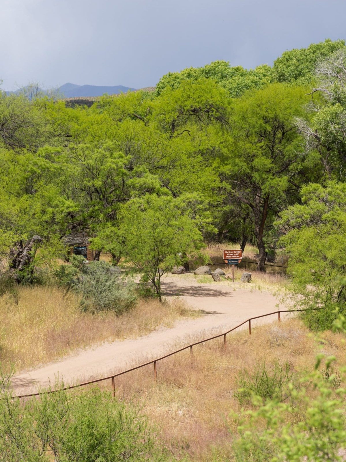 Day use area off of Black Hills Scenic Byway
