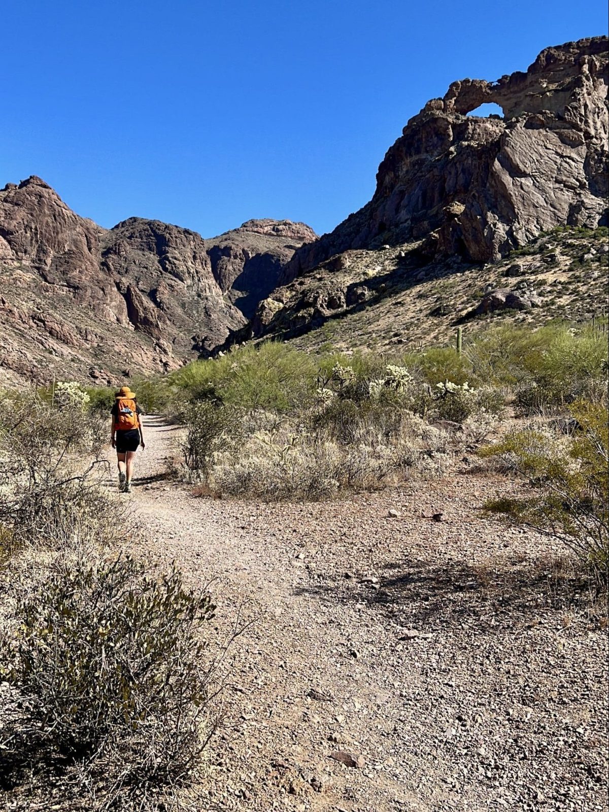 Organ Pipe Cactus National Monument, Ajo, Arizona - Arch Canyon Trail