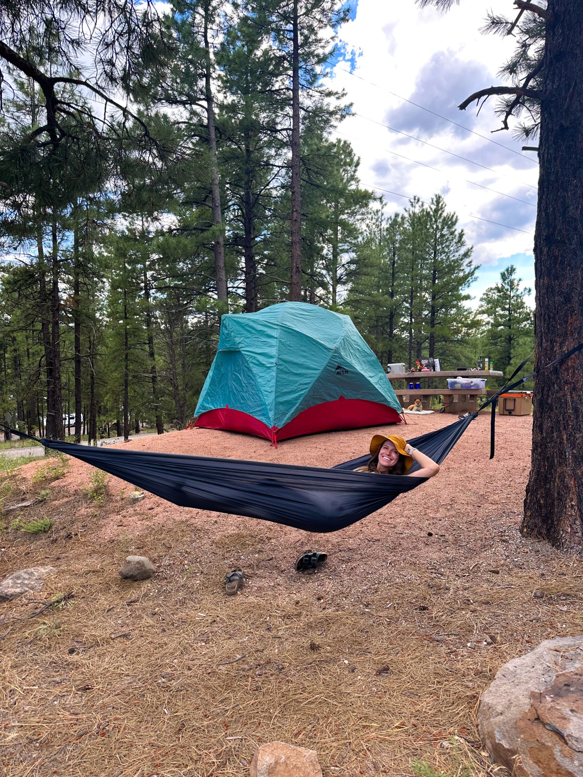 Camping Essentials - Tent (MSR Habitude 4)