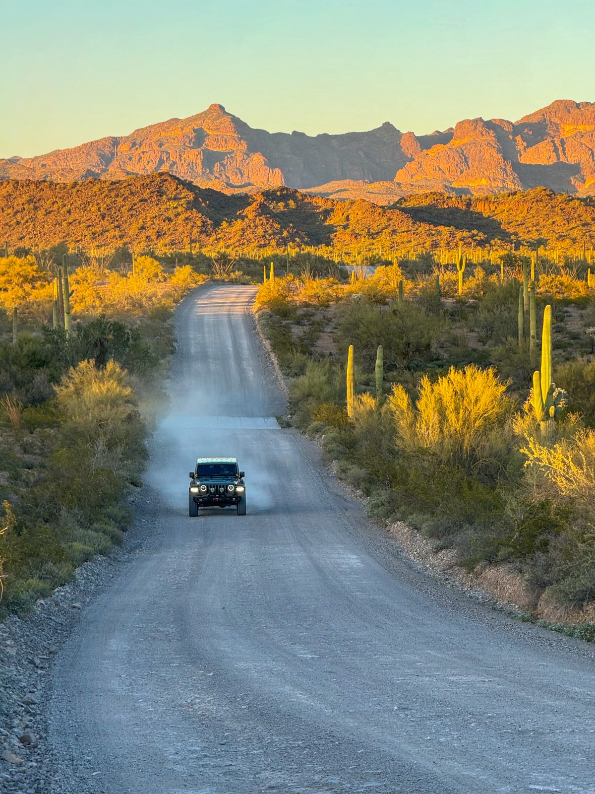 Organ Pipe Cactus National Monument, Ajo, Arizona - Ajo Mountain Loop Drive