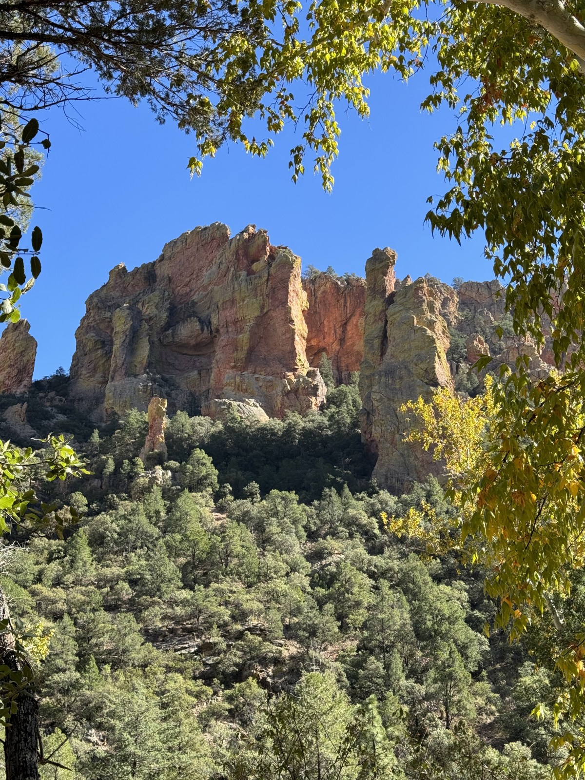 South Fork Trail in Cave Creek Canyon in the Chiricahua Mountains of Coronado National Forest in Portal, Arizona