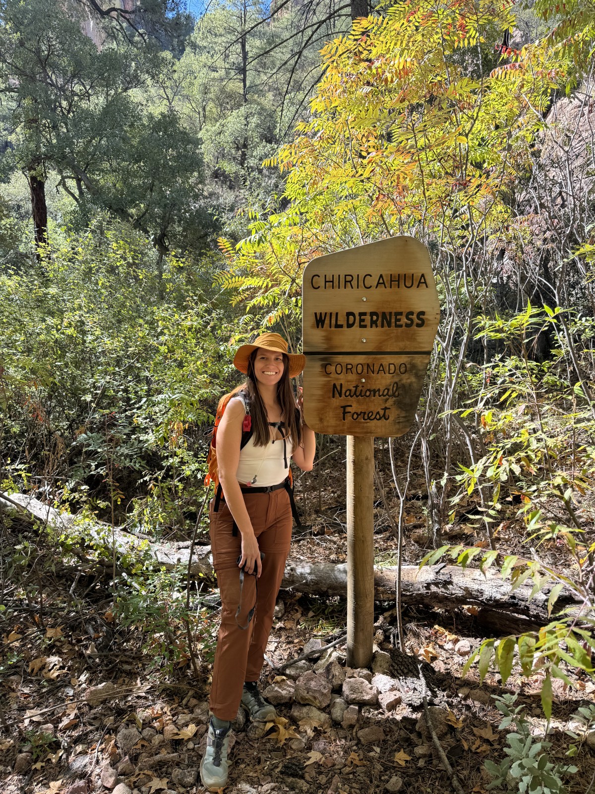 South Fork Trail in Cave Creek Canyon in the Chiricahua Mountains of Coronado National Forest in Portal, Arizona