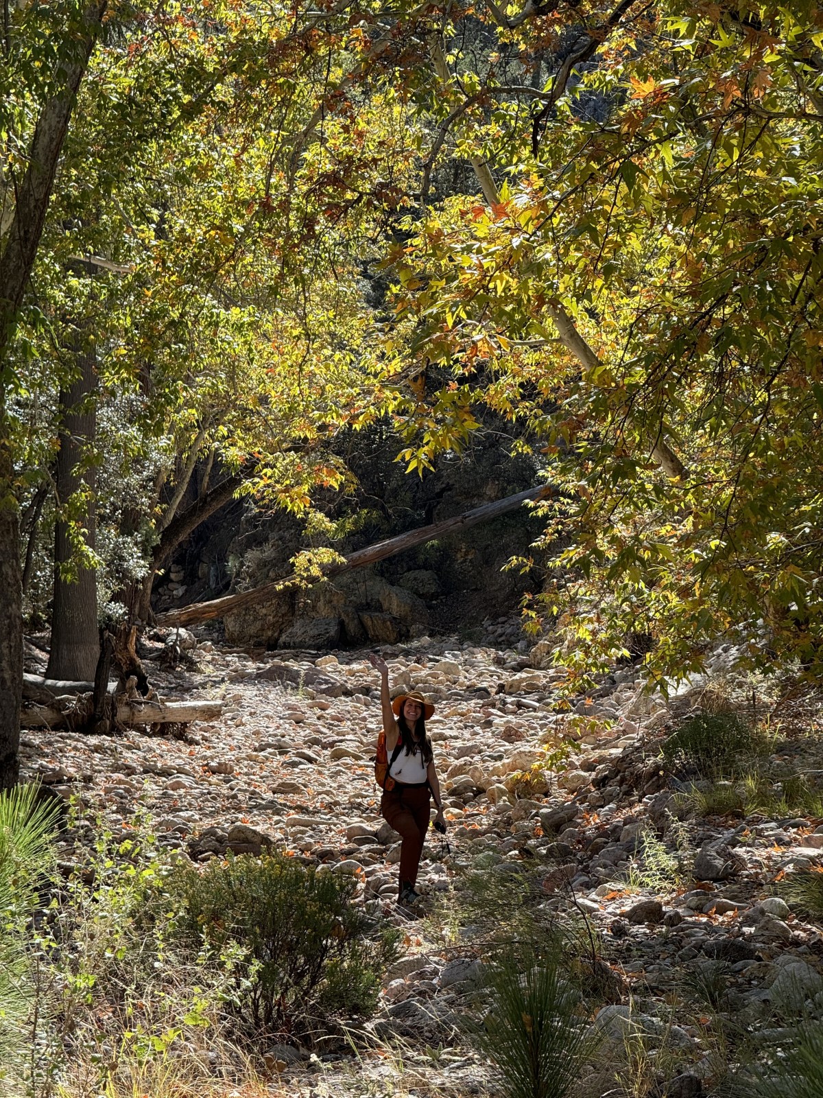 South Fork Trail in Cave Creek Canyon in the Chiricahua Mountains of Coronado National Forest in Portal, Arizona