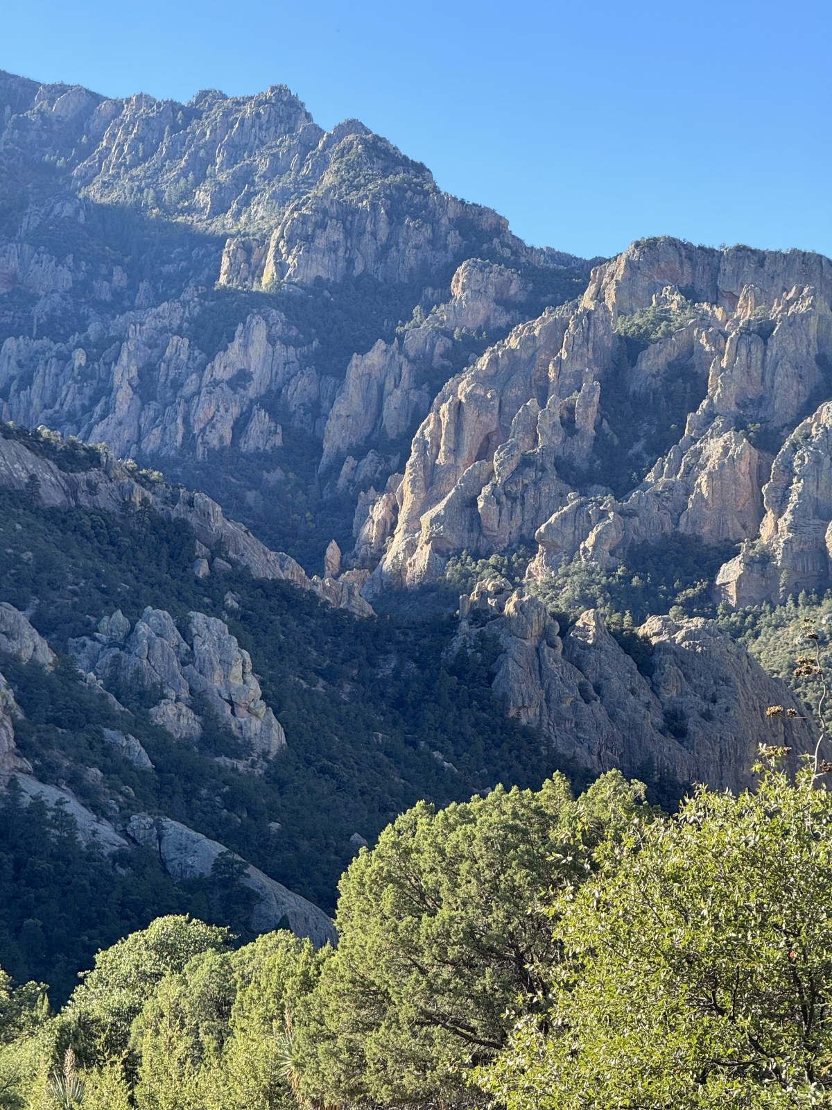Silver Peak Trail at Cave Creek Canyon in the Chiricahua Mountains of Coronado National Forest in Portal, Arizona