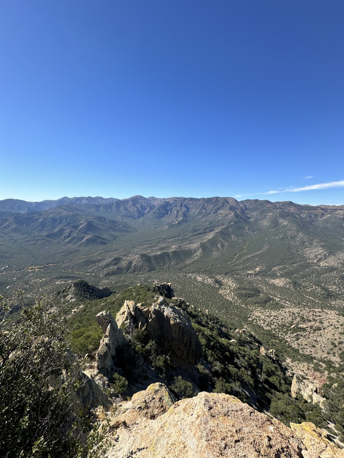 Silver Peak Trail at Cave Creek Canyon in the Chiricahua Mountains of Coronado National Forest in Portal, Arizona
