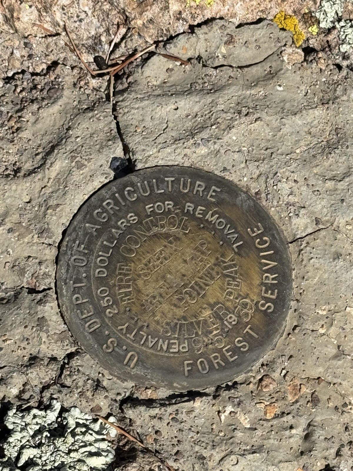Silver Peak Trail at Cave Creek Canyon in the Chiricahua Mountains of Coronado National Forest in Portal, Arizona