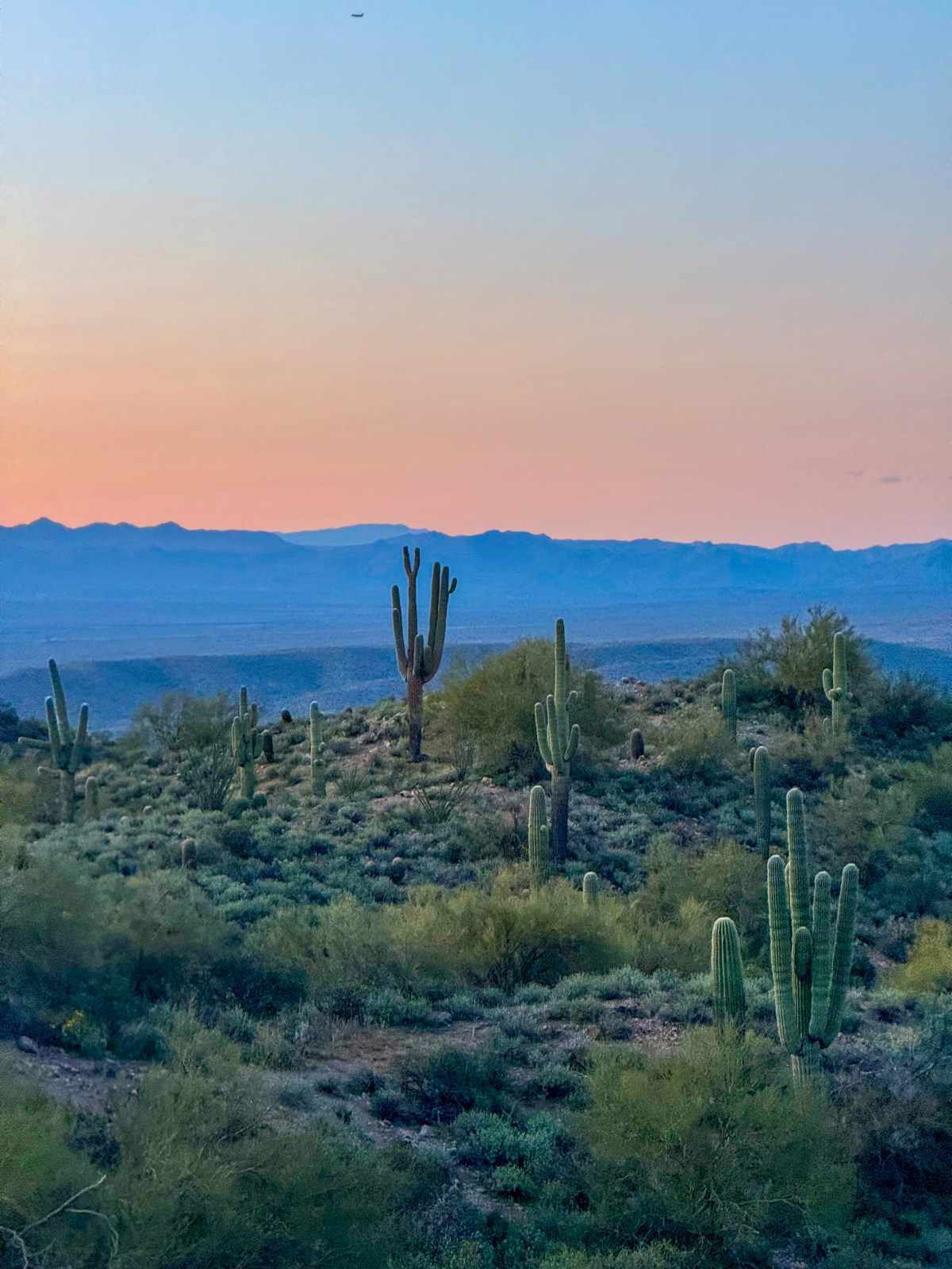 Hiking to Usery Mountain in Tonto National Forest, Mesa, Arizona