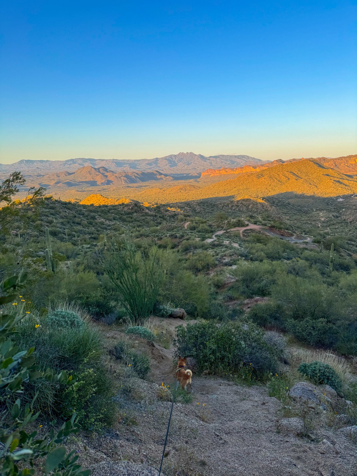 Hiking to Usery Mountain in Tonto National Forest, Mesa, Arizona