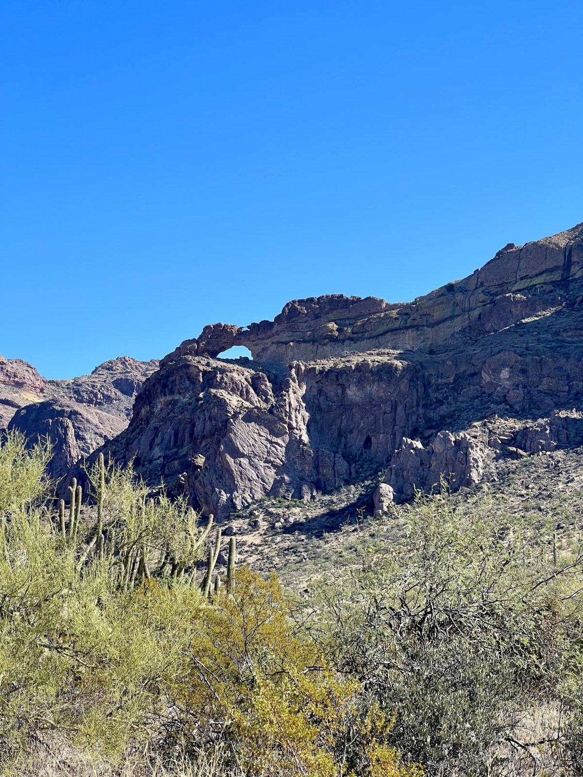 Organ Pipe Cactus National Monument, Ajo, Arizona - Arch Canyon Trail