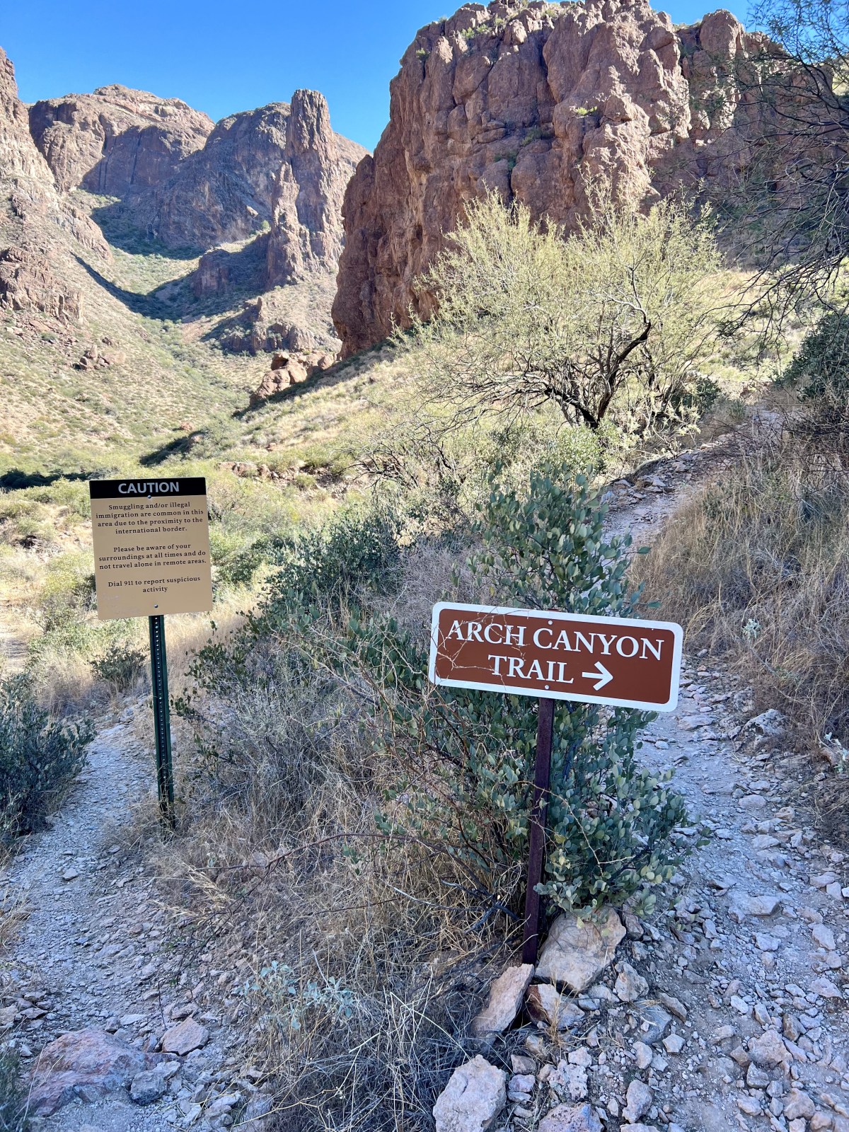 Organ Pipe Cactus National Monument, Ajo, Arizona - Arch Canyon Trail