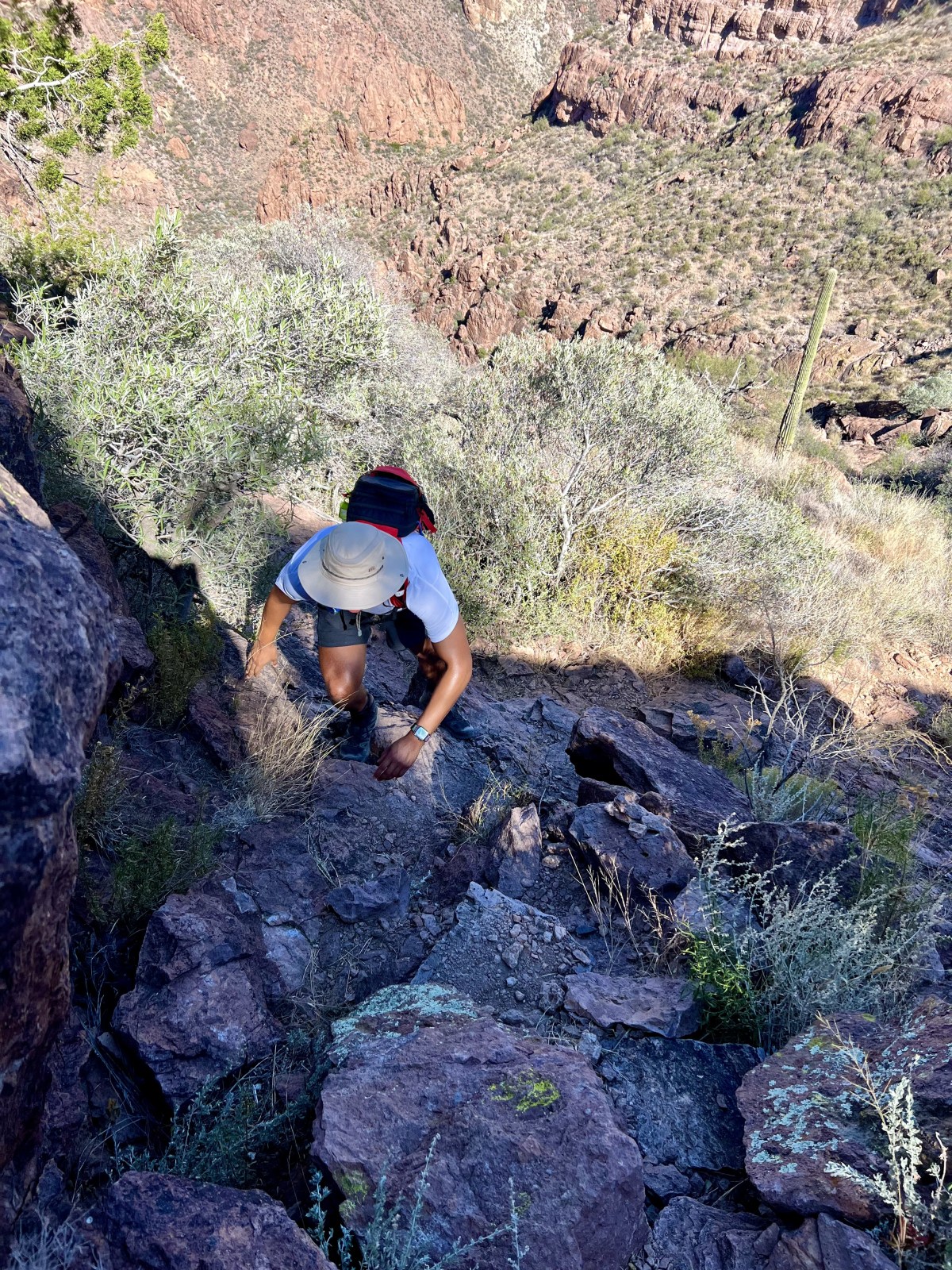 Organ Pipe Cactus National Monument, Ajo, Arizona - Arch Canyon Trail