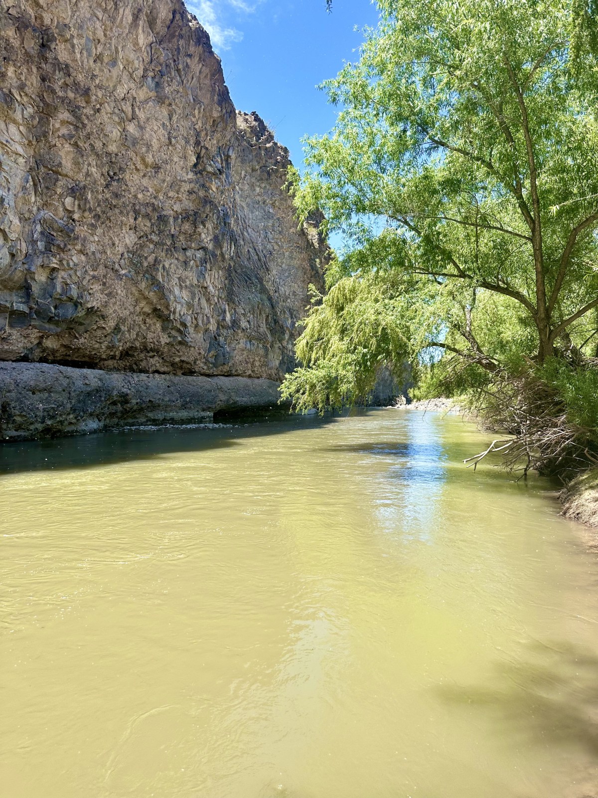 Gila Box Riparian National Conservation Area