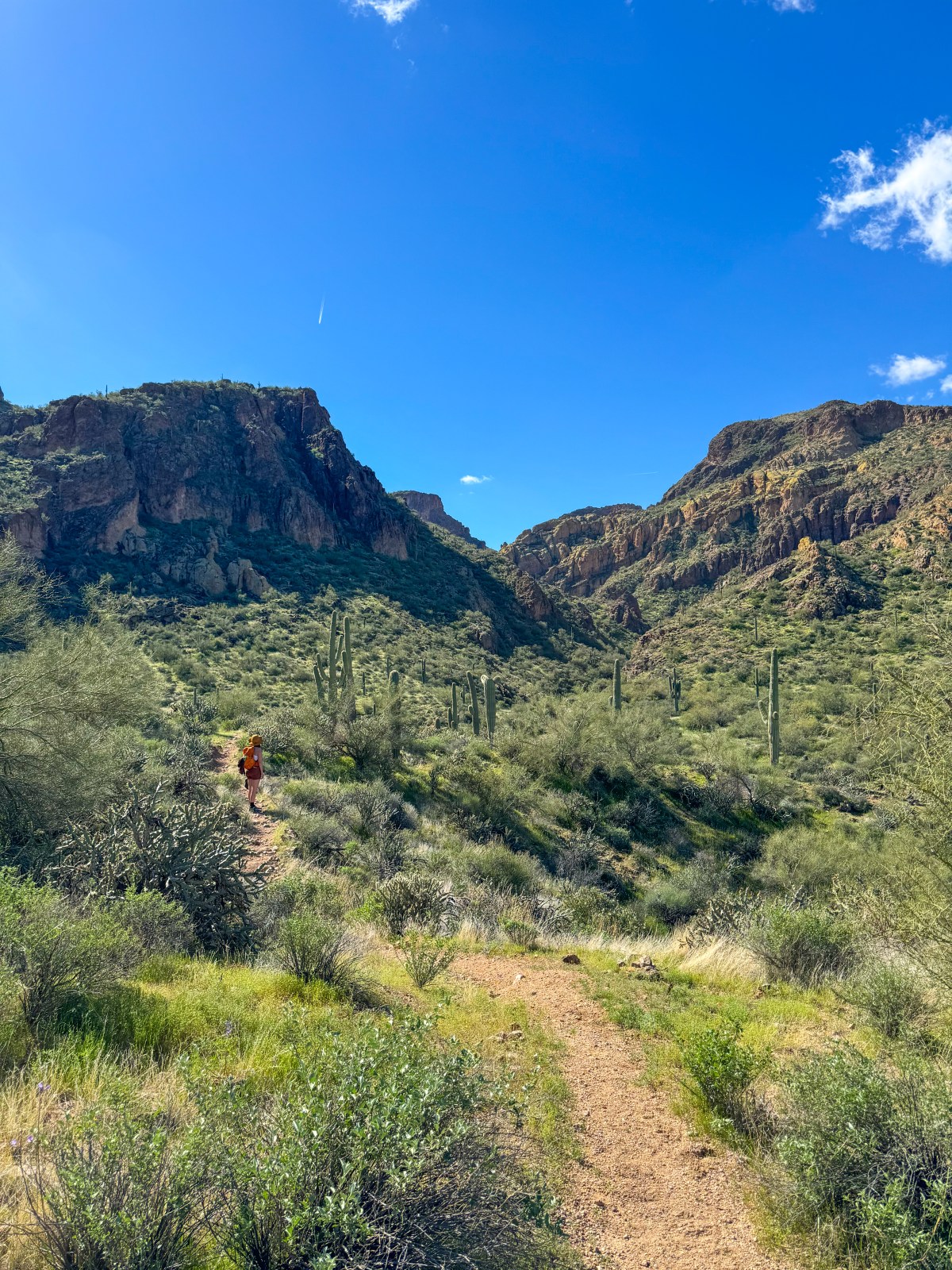 Hiking to Gateway Canyon Trail in Tonto National Forest near Mesa, Arizona