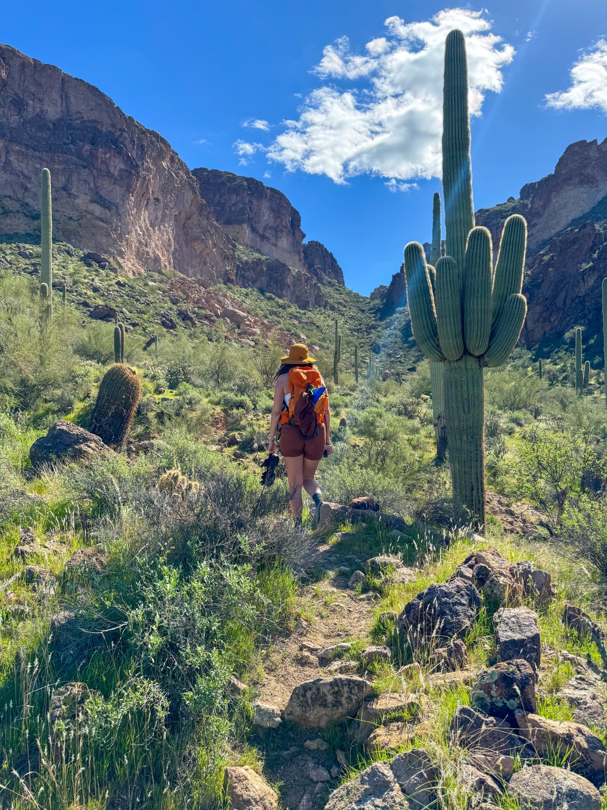 Hiking to Gateway Canyon Trail in Tonto National Forest near Mesa, Arizona