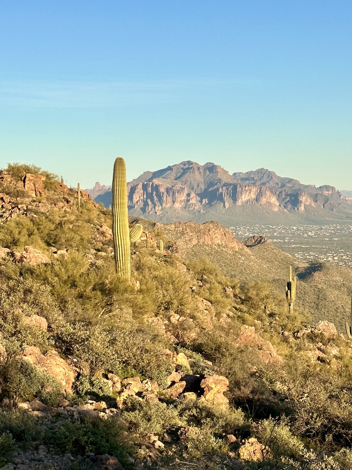 Views of the Superstition Mountains from Pass Mountain in Tonto National Forest, Mesa, Arizona