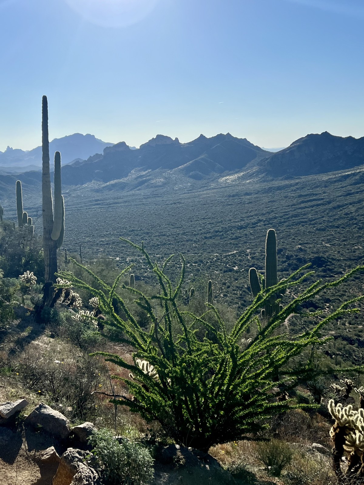 Hiking Pass Mountain in Tonto National Forest, Mesa, Arizona