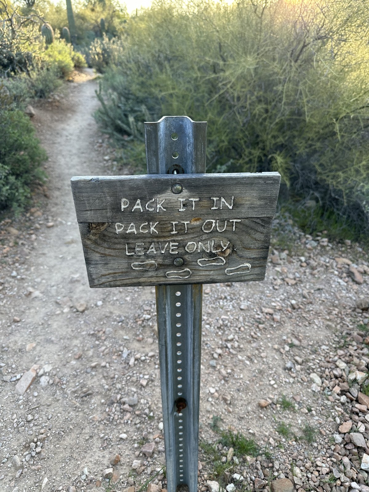 Hiking Butcher Jones Trail, Tonto National Forest, Mesa, Arizona
