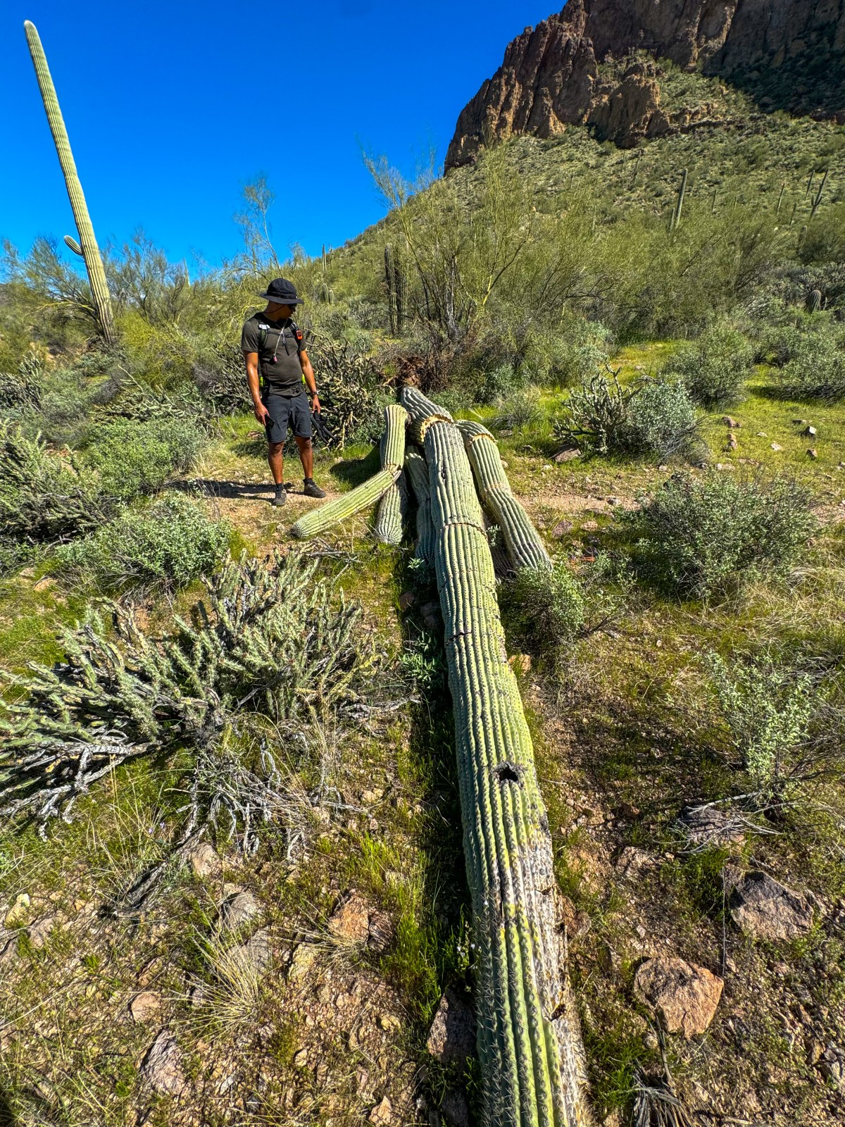 Hiking to Gateway Canyon Trail in Tonto National Forest near Mesa, Arizona