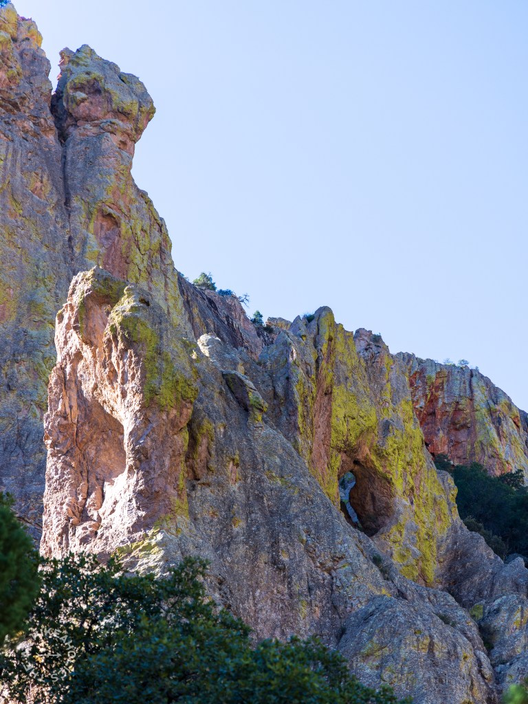 Cave Creek Canyon of the Chiricahua Mountains in Coronado National Forest