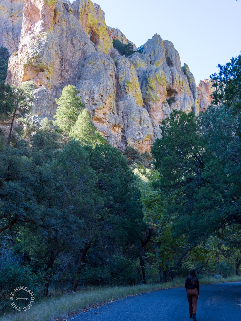 Cave Creek Canyon of the Chiricahua Mountains in Coronado National Forest