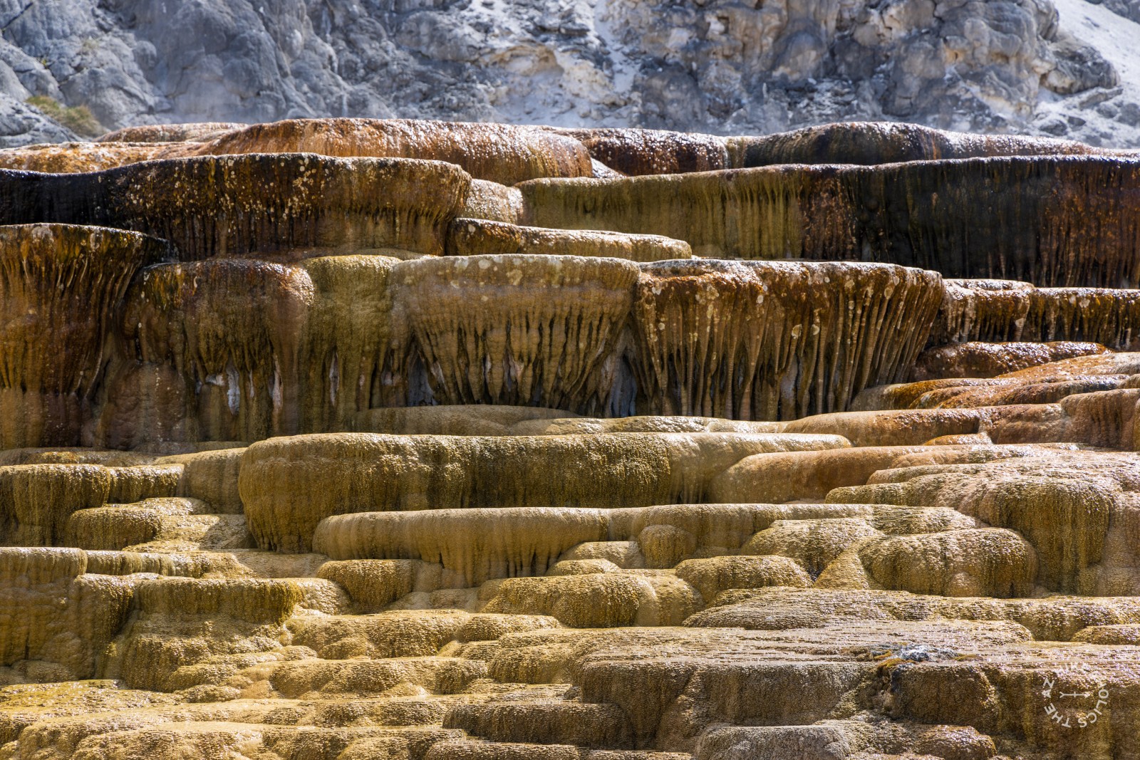 Mammoth Hot Spring at Yellowstone National Park, Wyoming