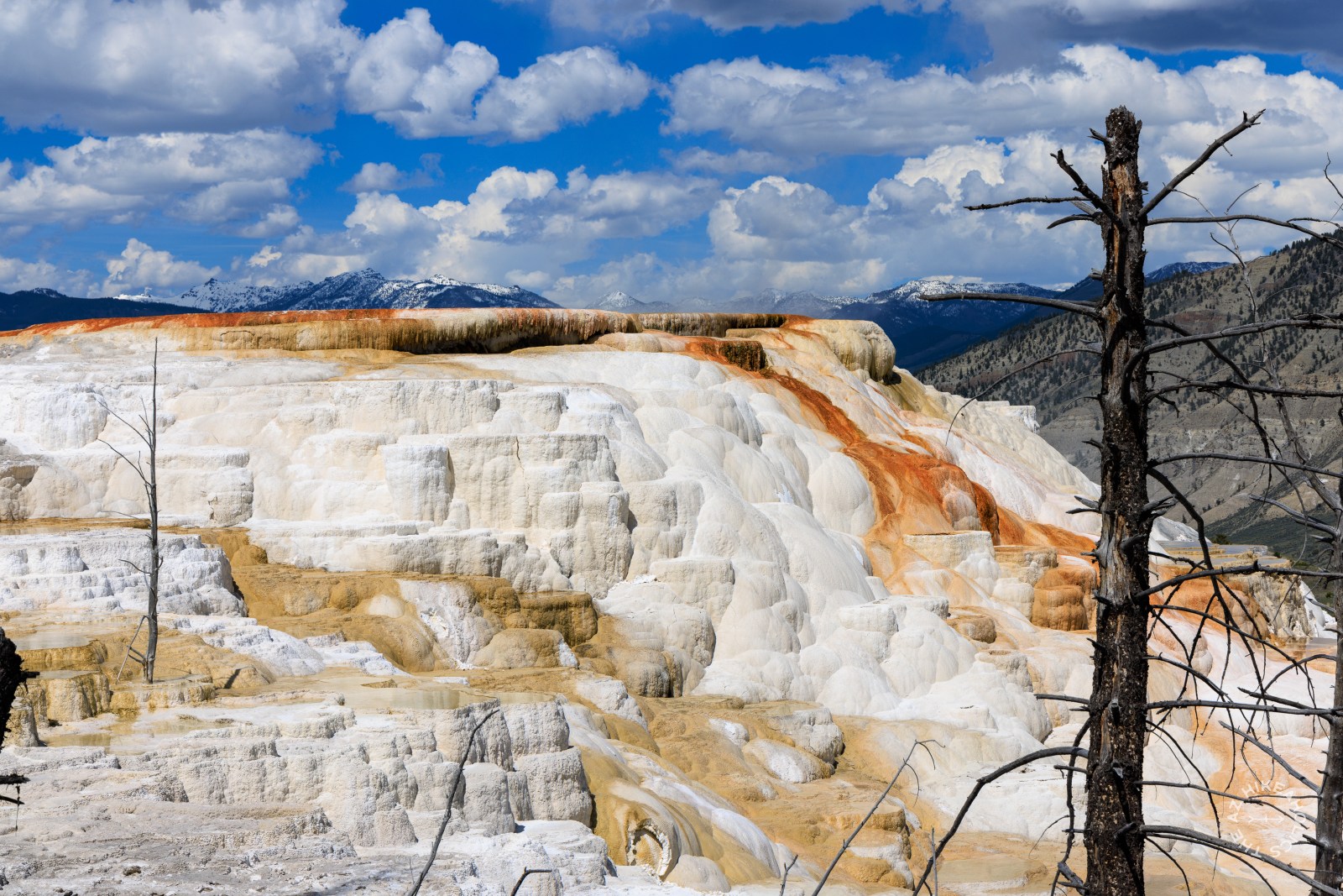 Carney Spring at Yellowstone National Park