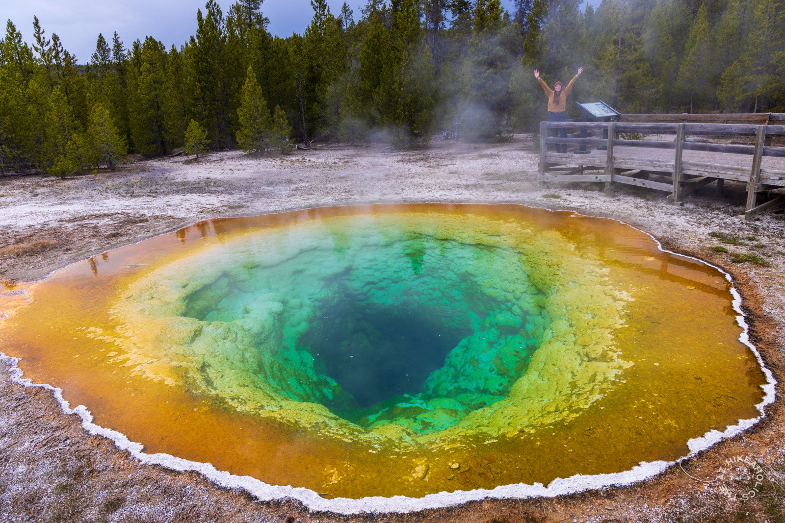 Morning Glory Pool at the Upper Geyser Basin in Yellowstone National Park