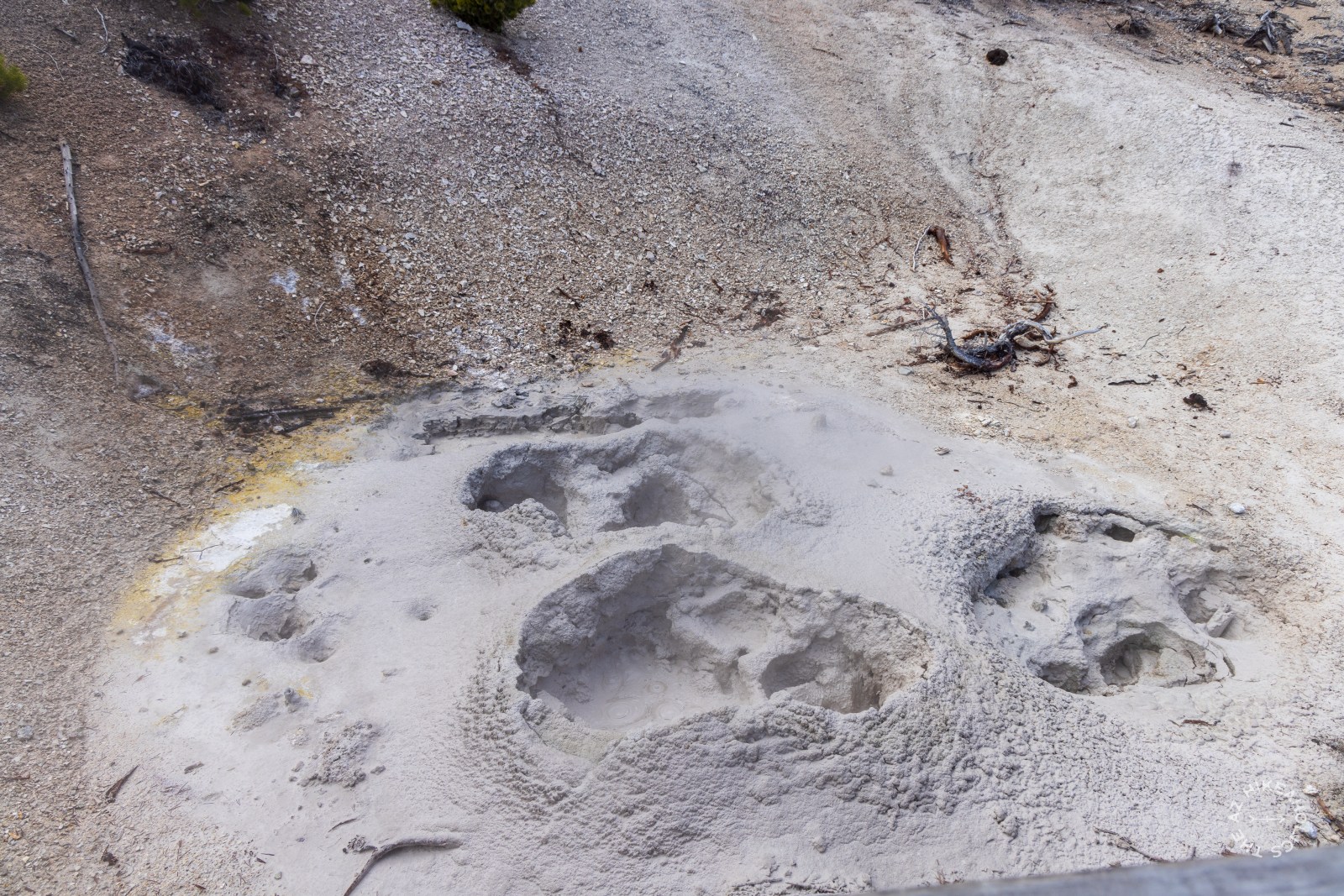 Mud Volcano area in Yellowstone National Park