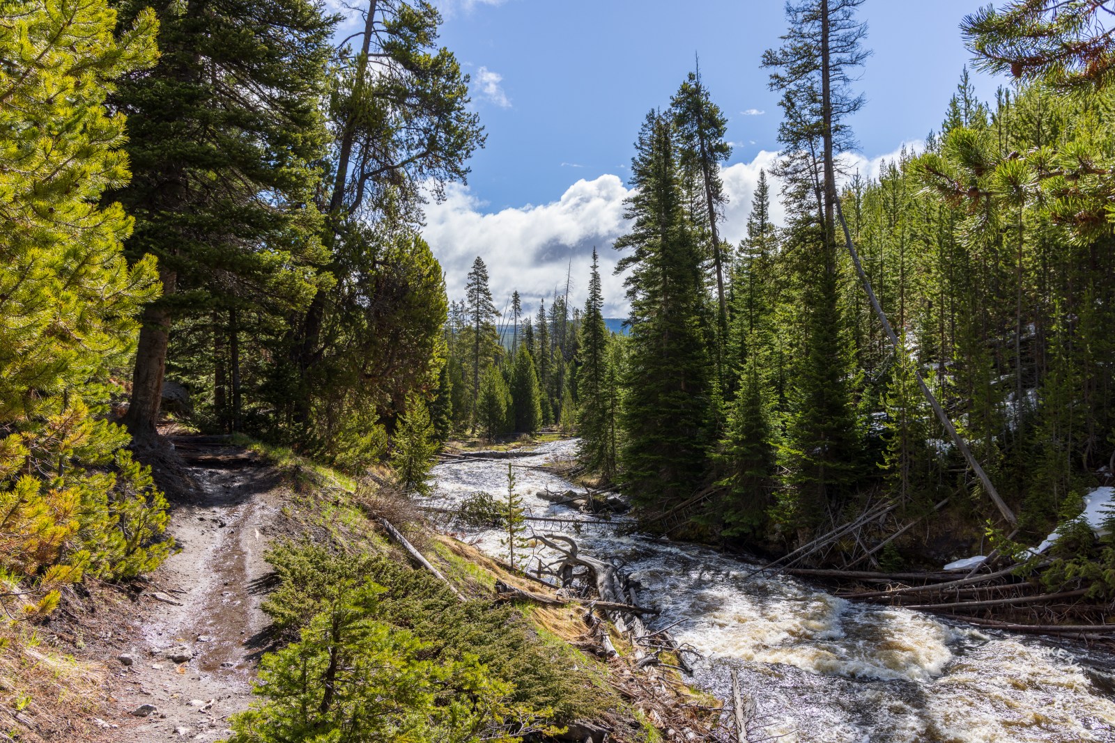 Mystic Falls Trail in Yellowstone National Park