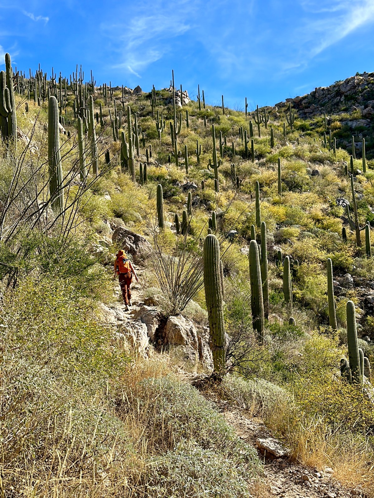 One of the best hikes in Arizona: Romero Pools