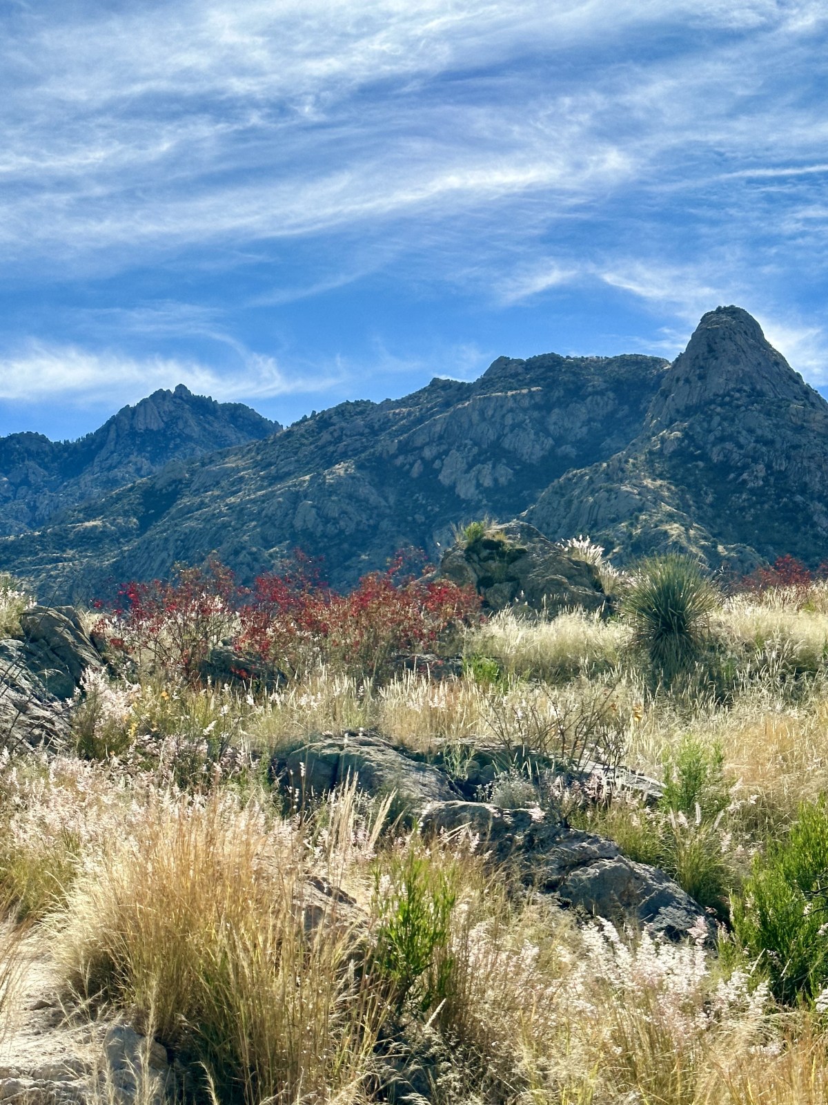 One of the best hikes in Arizona: Romero Pools