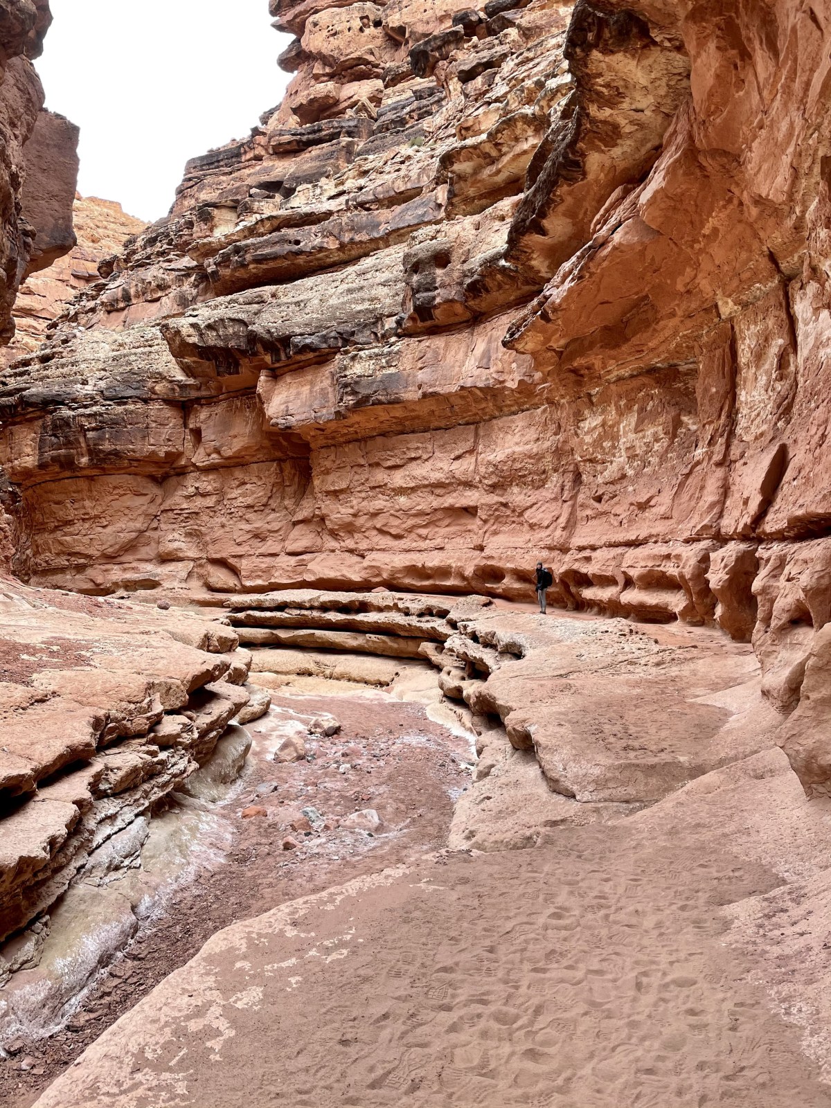 One of Arizona's best hikes: Cathedral Wash