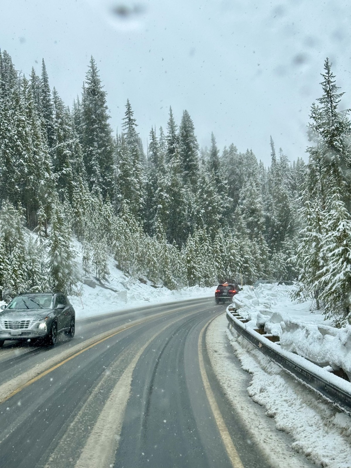 Craig Pass, Continental Divide in Yellowstone National Park