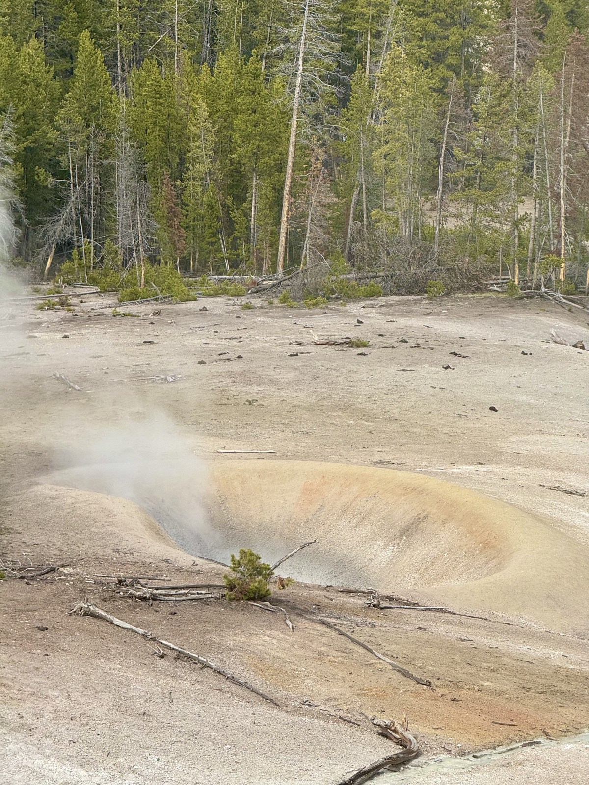 Sulphur Caldron in Yellowstone National Park