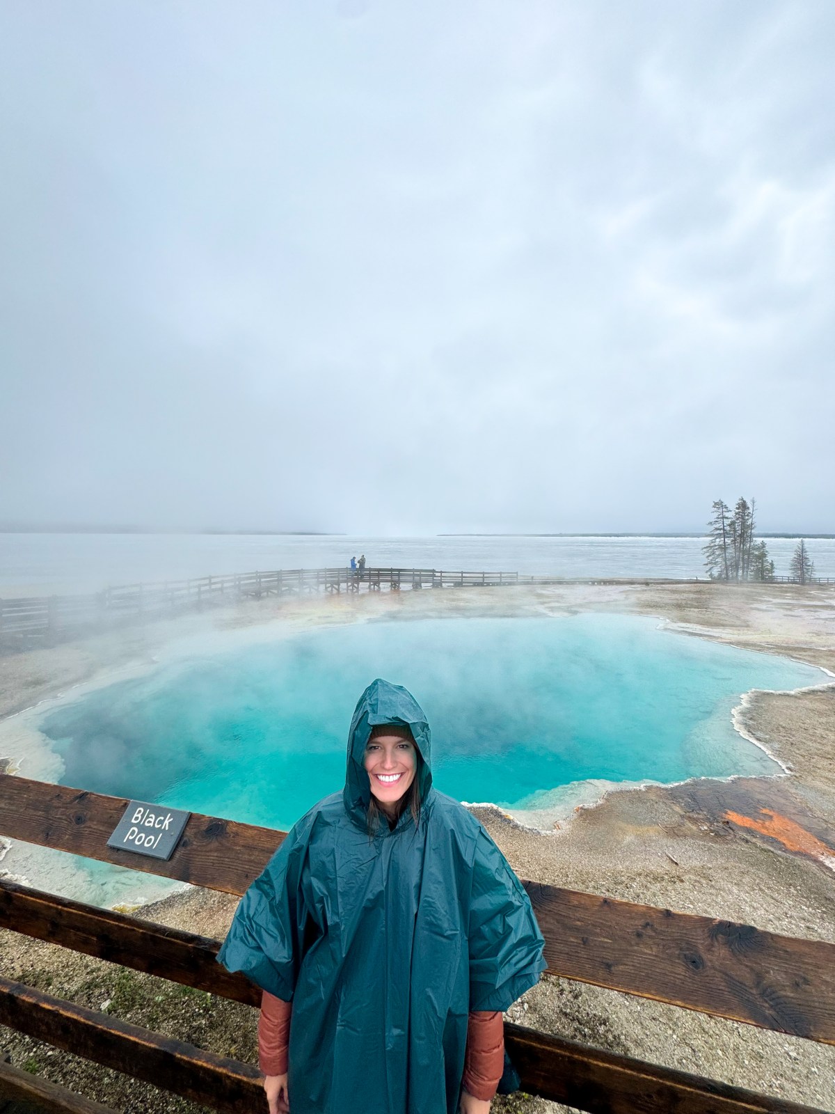 West Thumb Geyser Basin in Yellowstone National Park