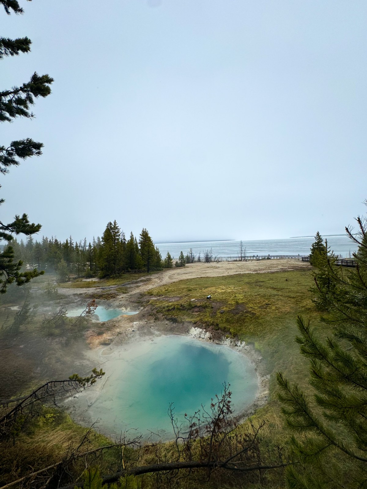West Thumb Geyser Basin in Yellowstone National Park