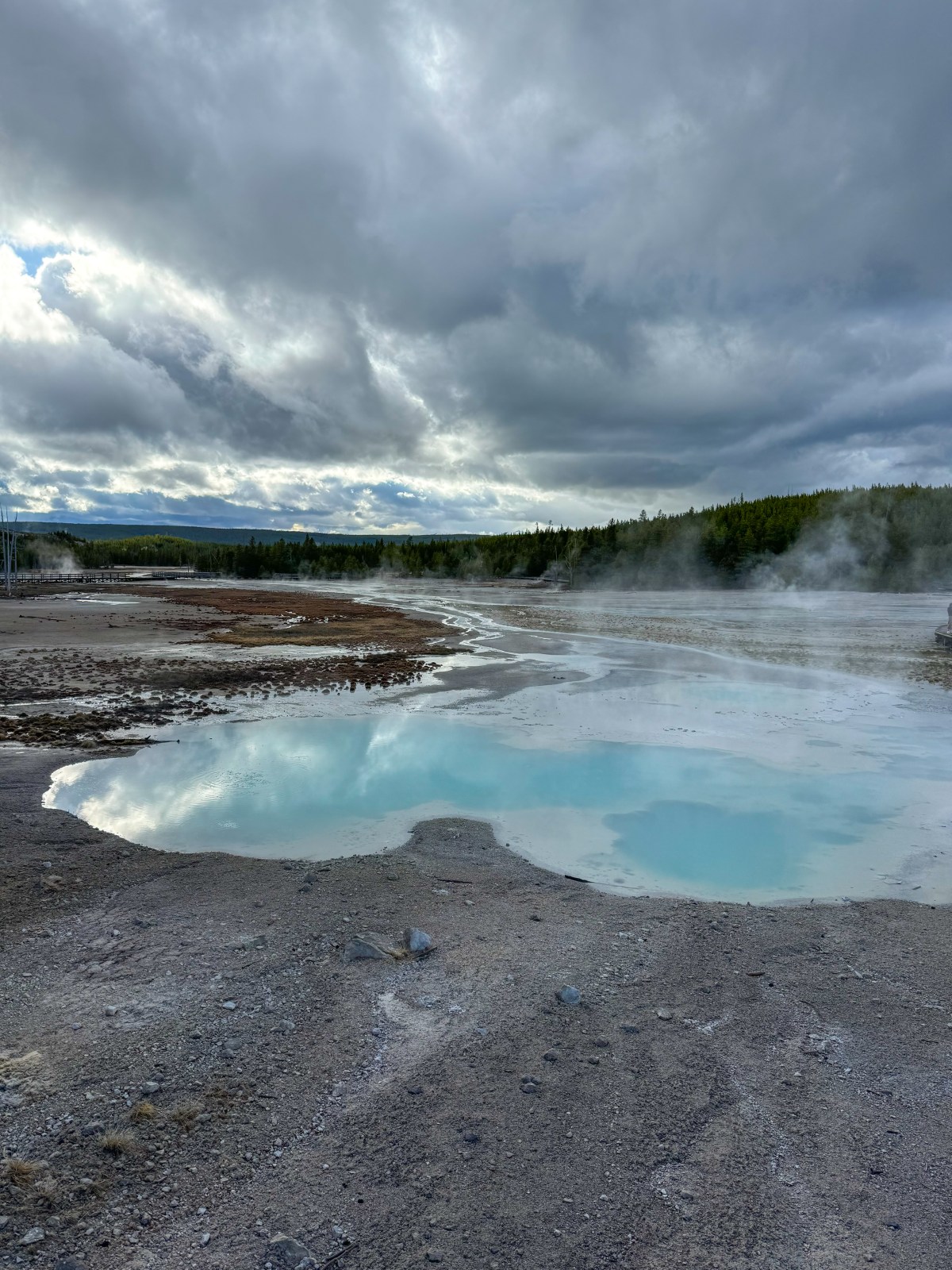 Norris Geyser Basin in Yellowstone National Park