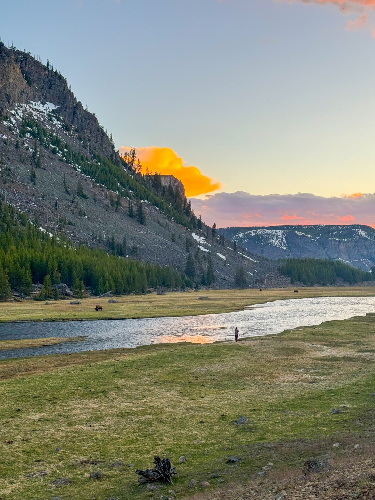 Madison River in Yellowstone National Park