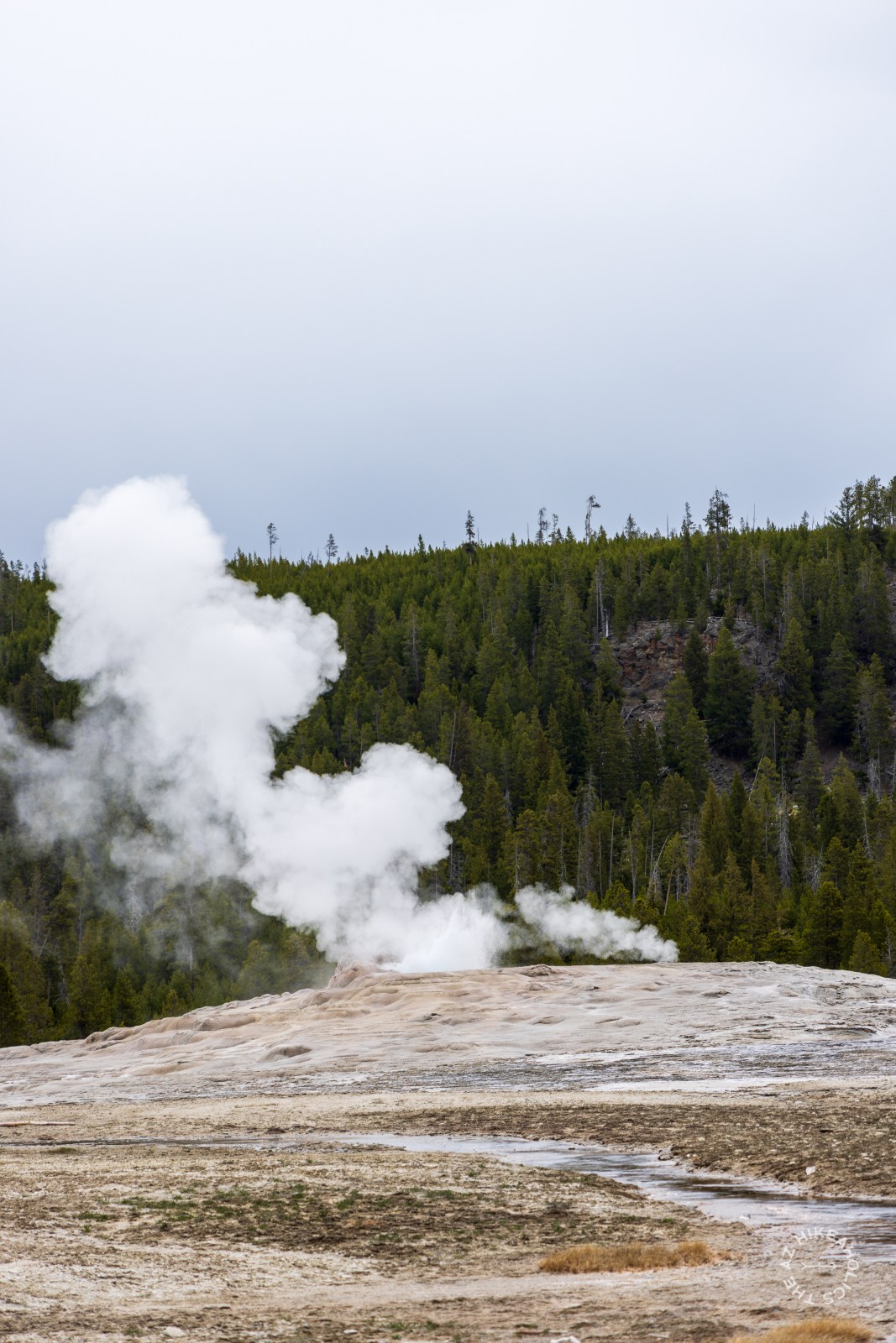 A quiet Old Faithful Geyser at Yellowstone National Park