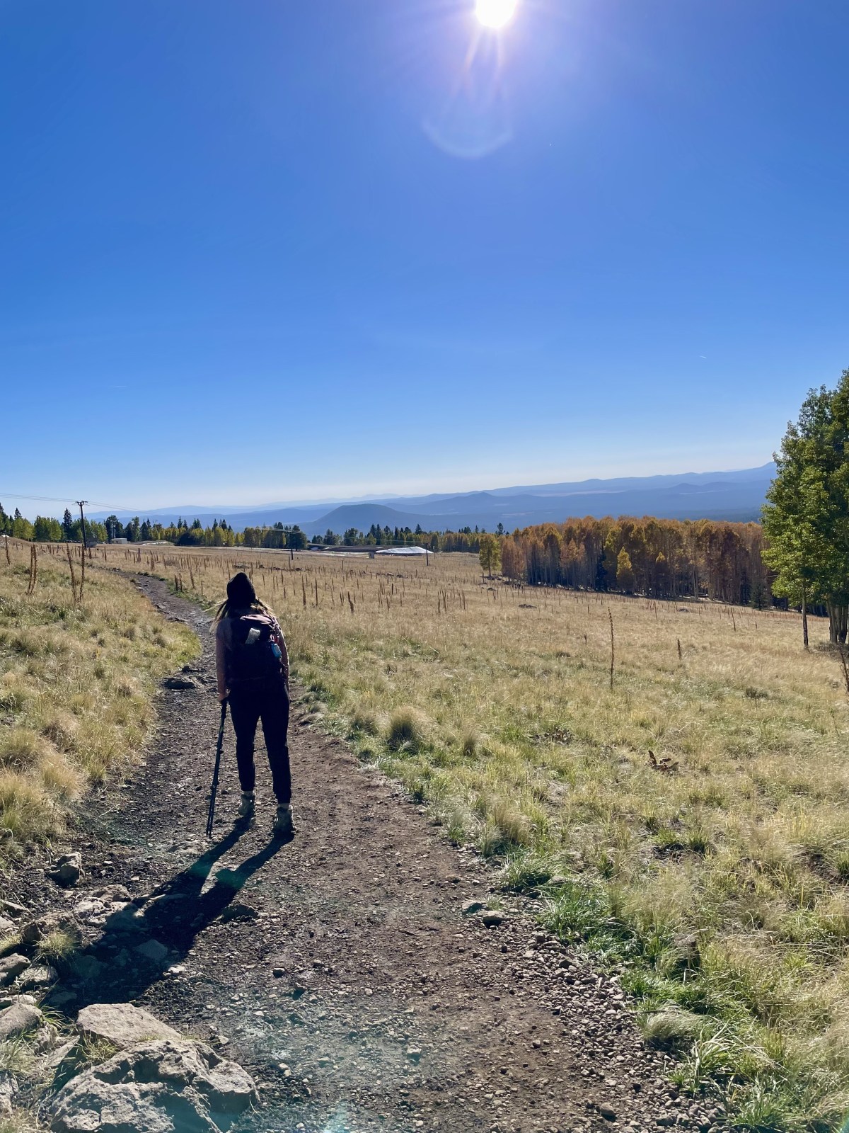 Humphreys Peak trail