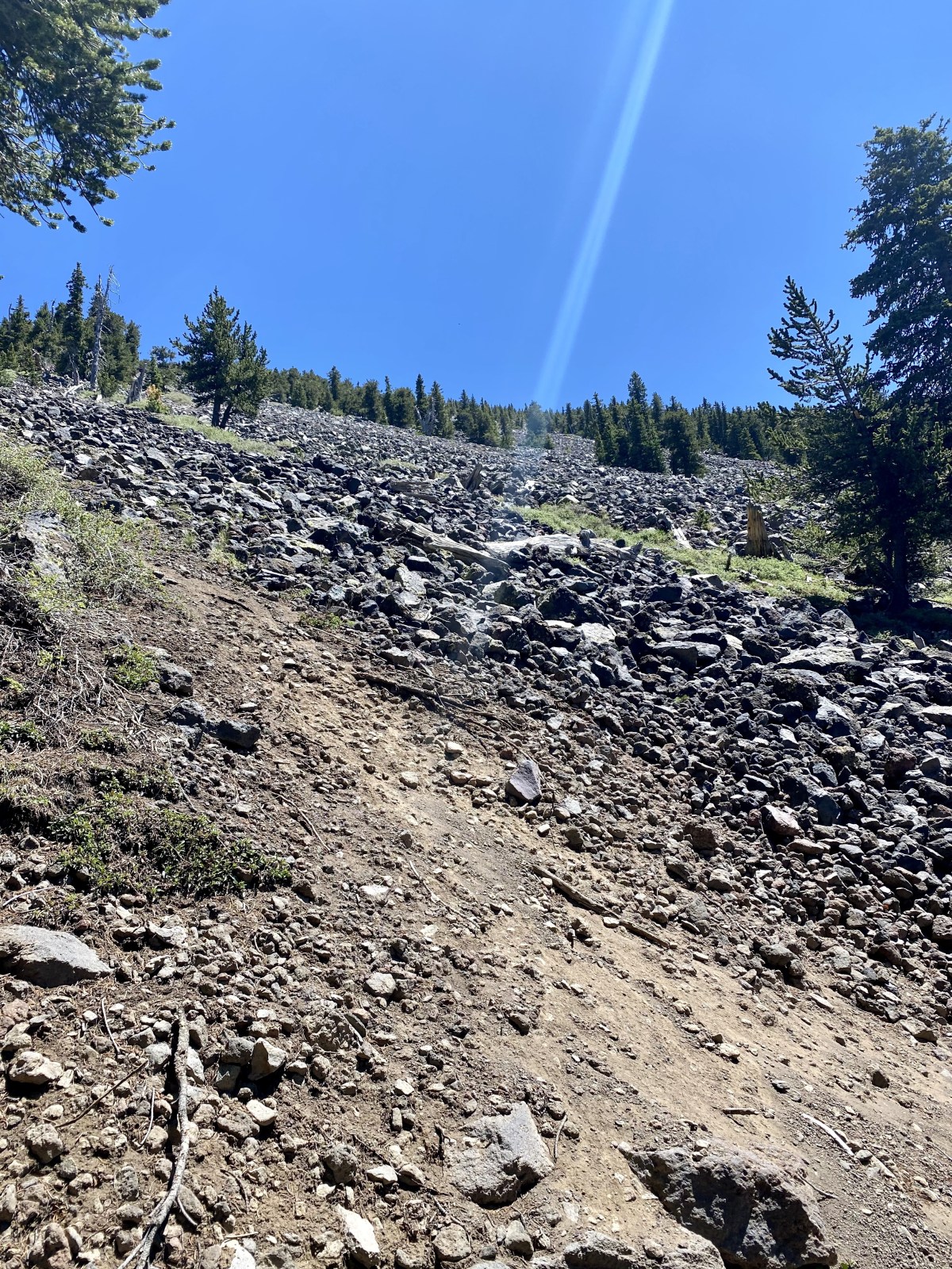 Humphreys Peak trail