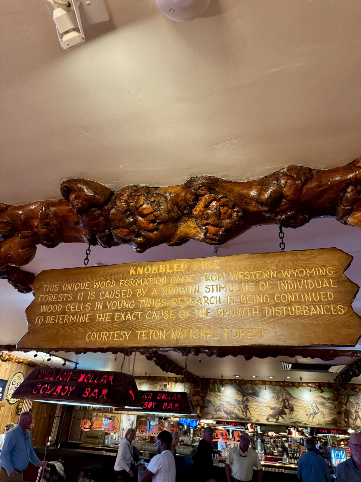Million Dollar Cowboy Bar in Jackson, Wyoming