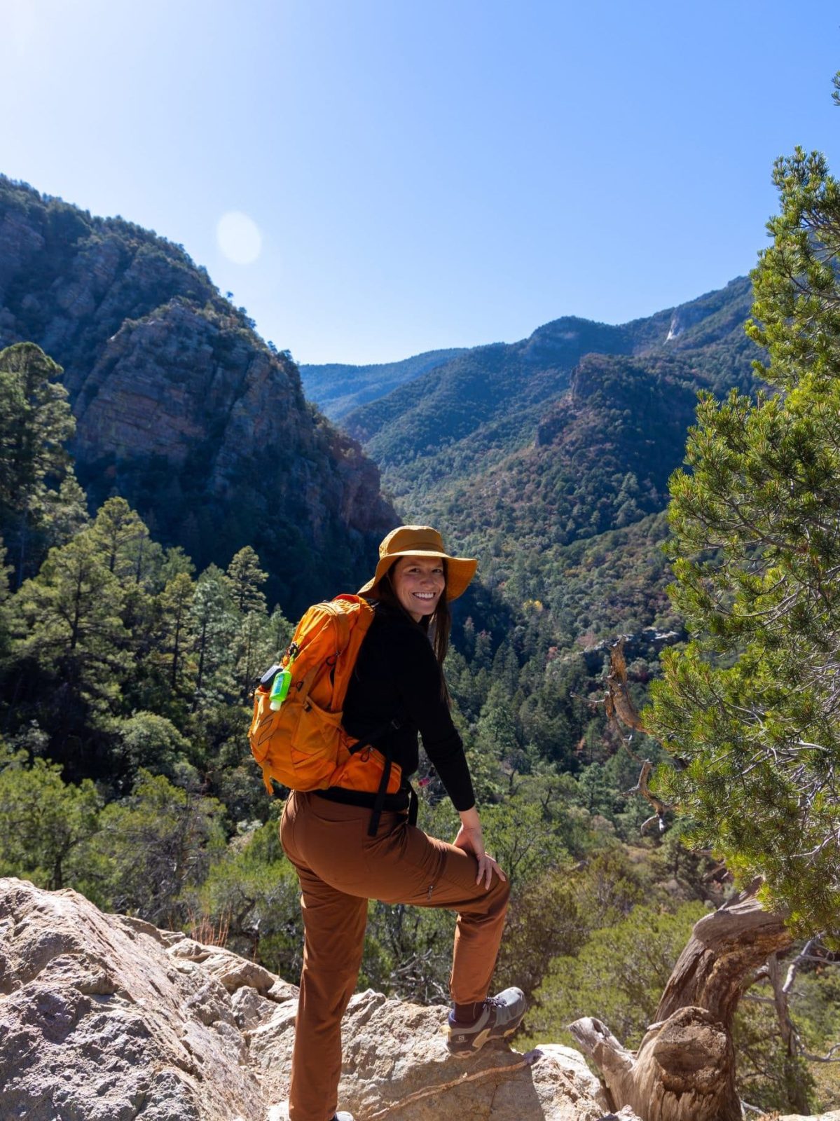 Hamburg trail in the Huachuca Mountains