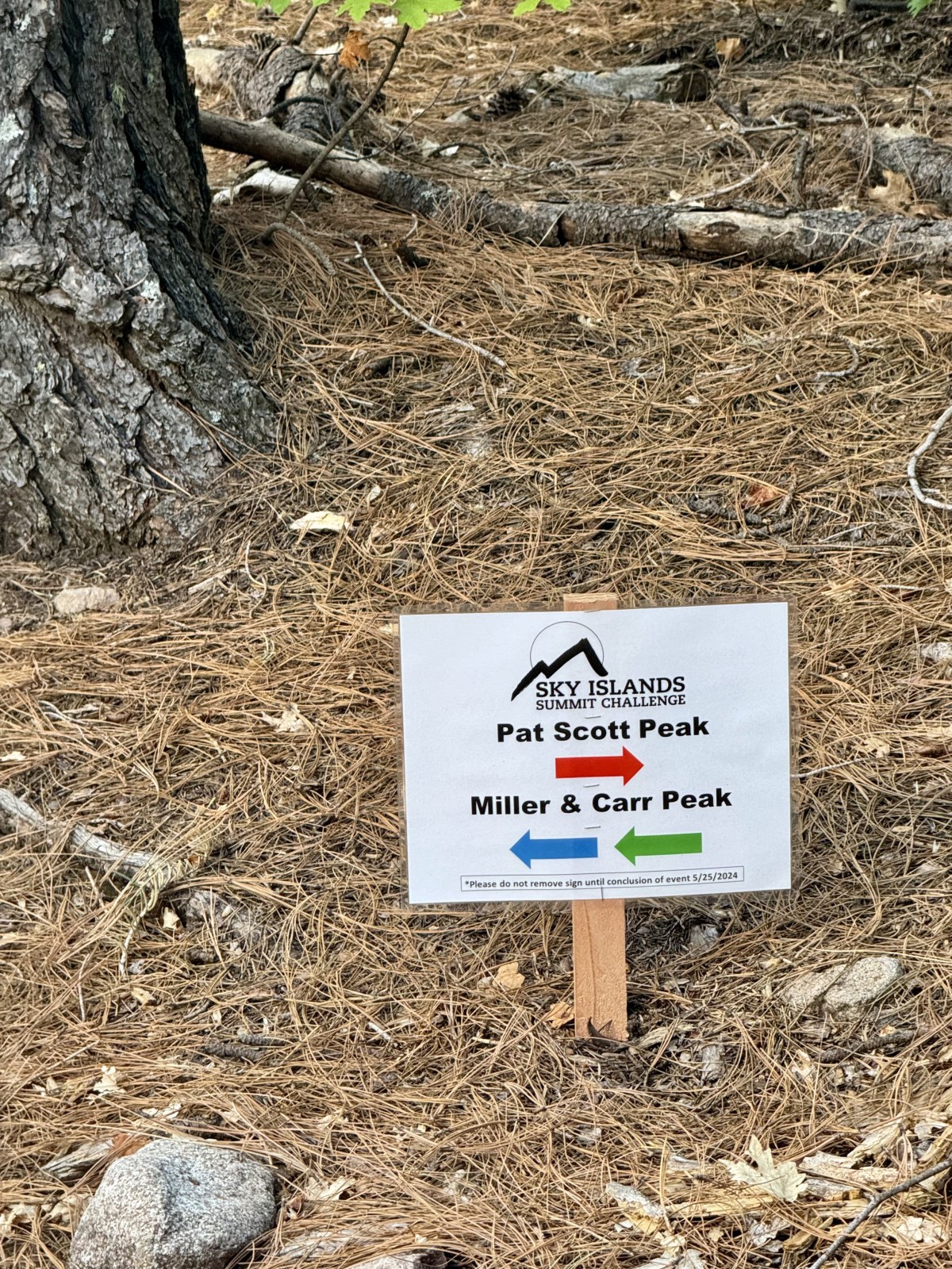 Sierra Vista Sky Islands Summit Challenge in the Huachuca Mountains