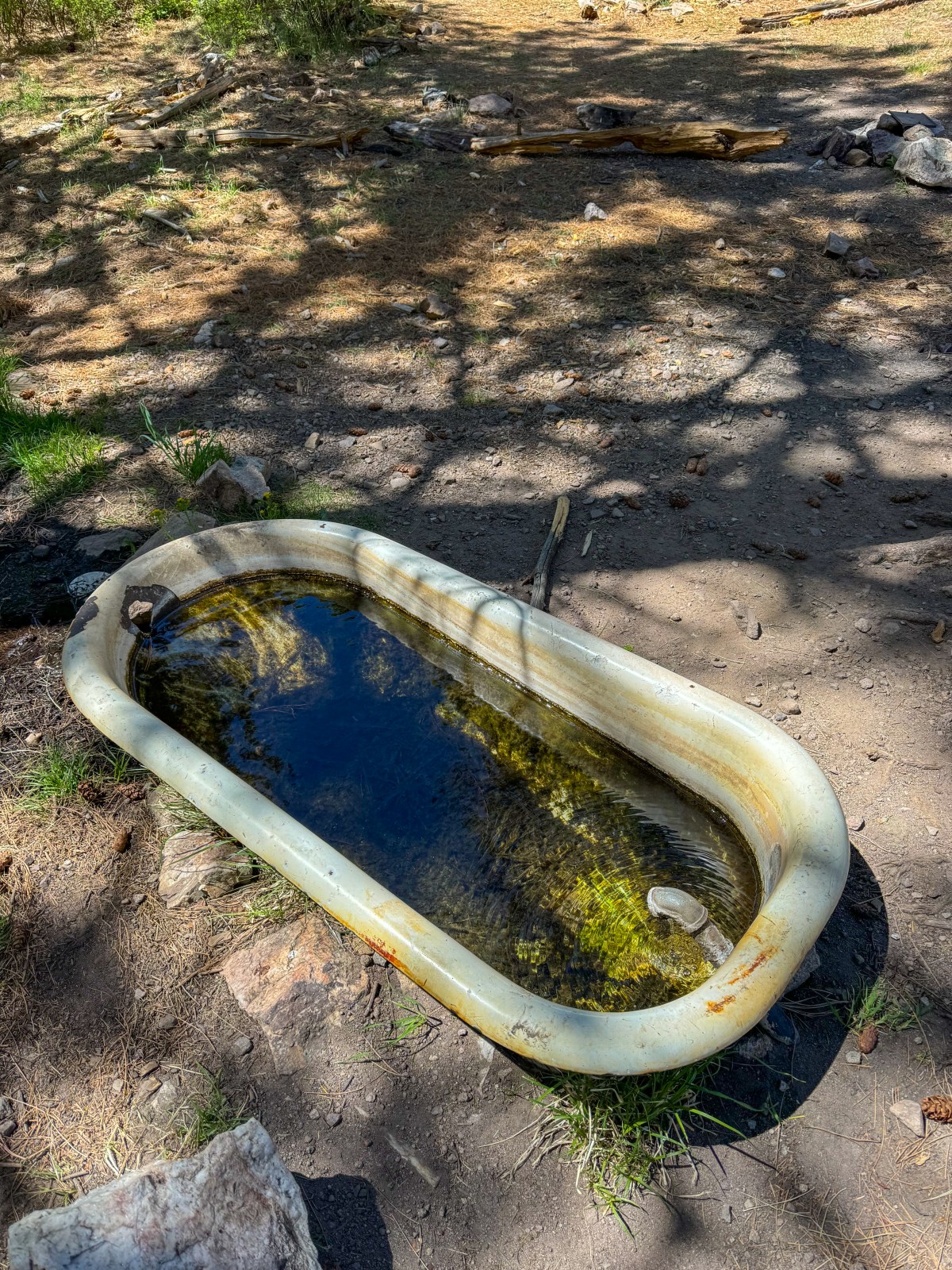 Sierra Vista Sky Islands Summit Challenge in the Huachuca Mountains